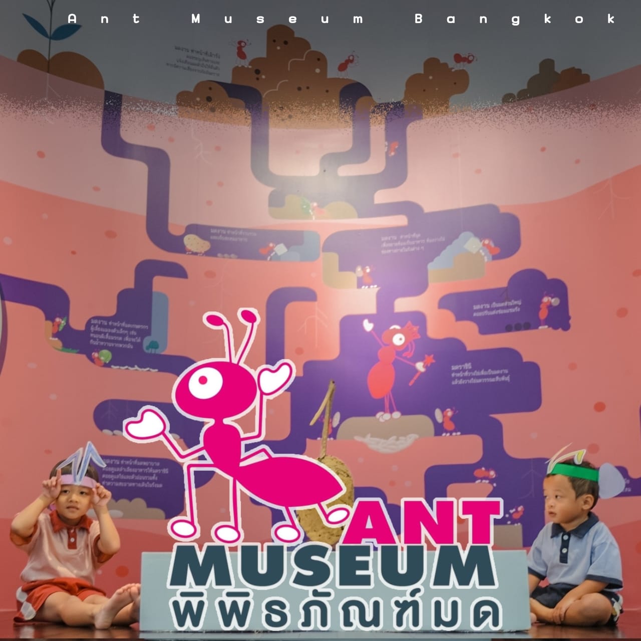Ant Museum