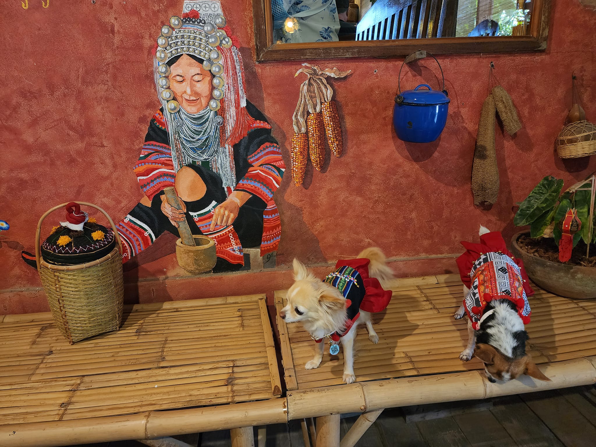 ร้านอาหารเหนือสายลมจอย ซอย๑