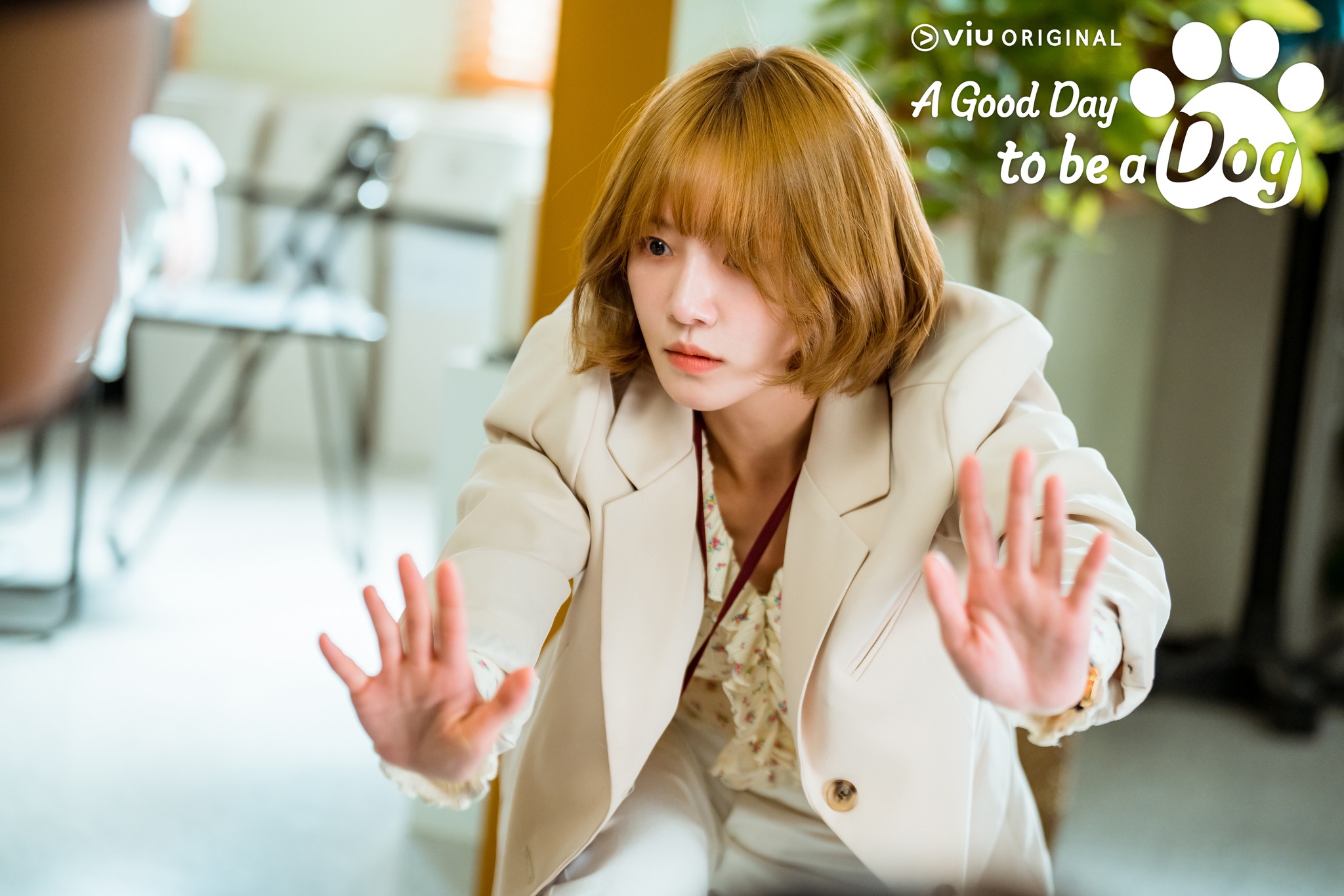 รีวิวซีรีส์, a good day to be a dog
