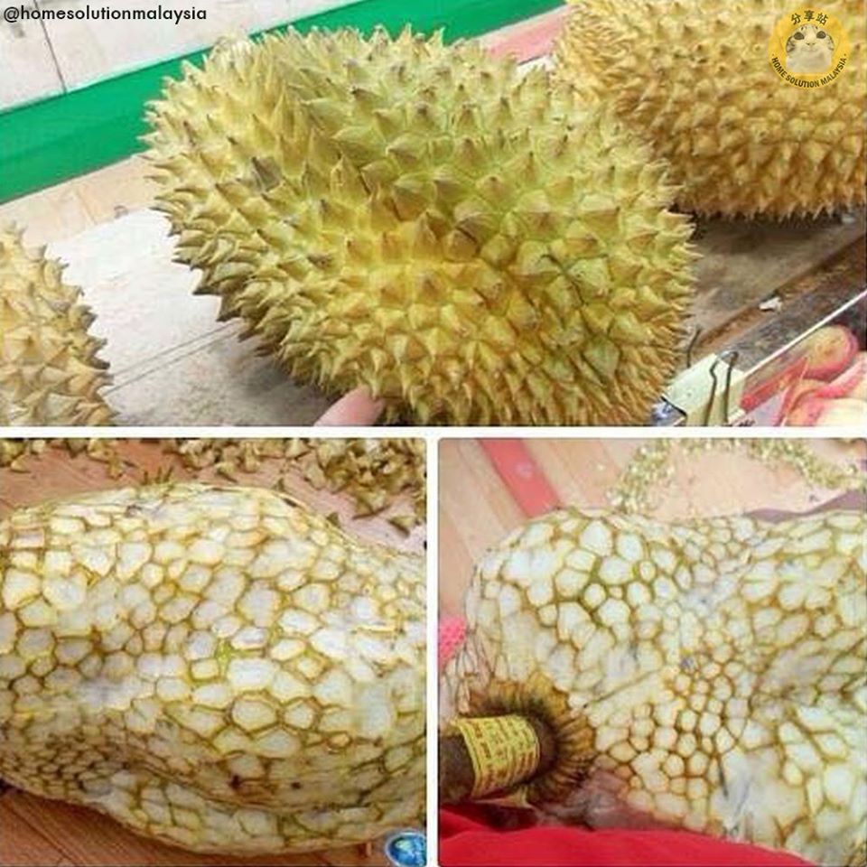 กักตัวอยู่บ้าน