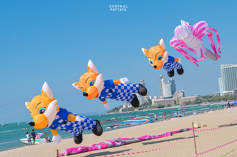 เทศกาลว่าวนานาชาติ 2568 Pattaya International Kite Festival 2025