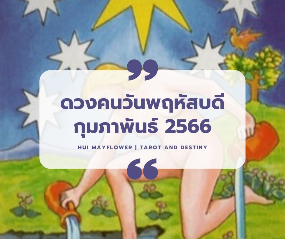 ดูดวง