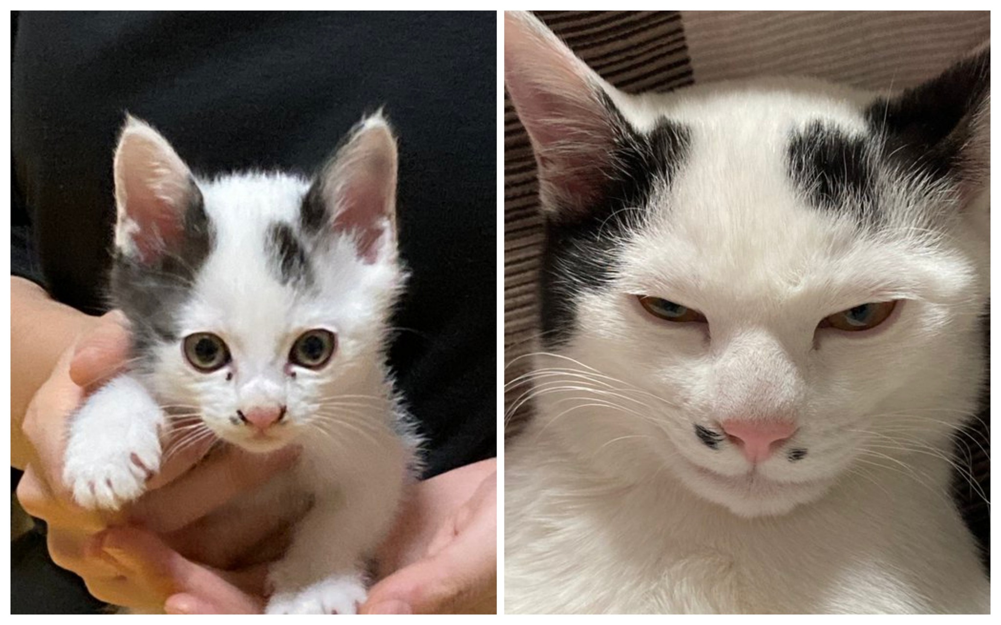 before after