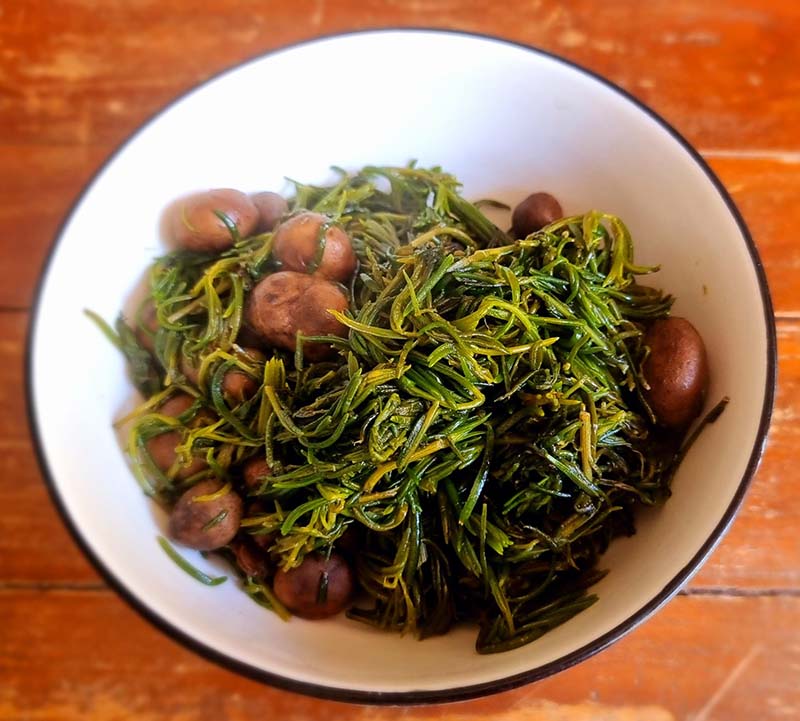 แกงเผ็ดเห็ดเผาะใบชะคราม