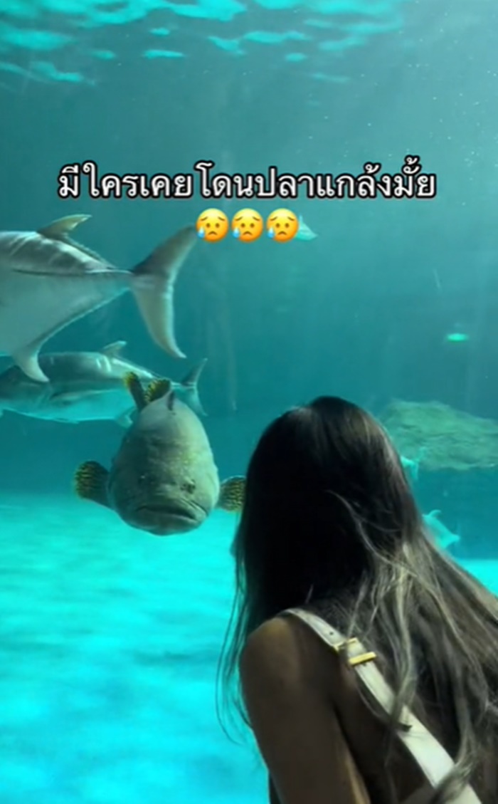 อควาเรียม