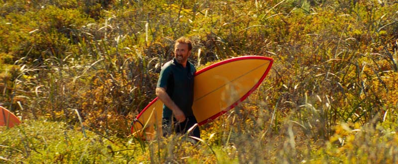 The Surfer