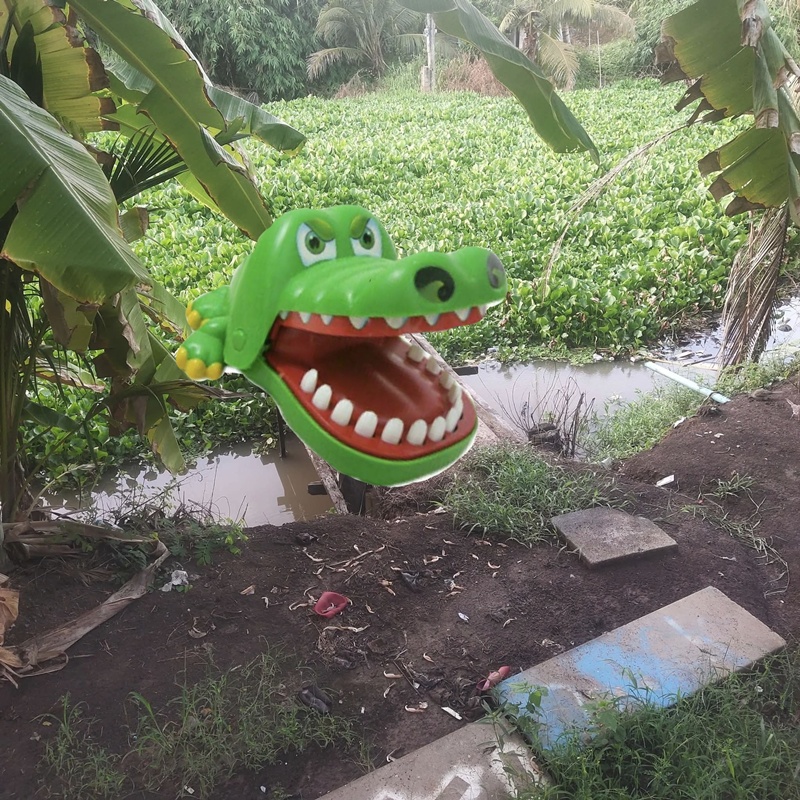 จระเข้