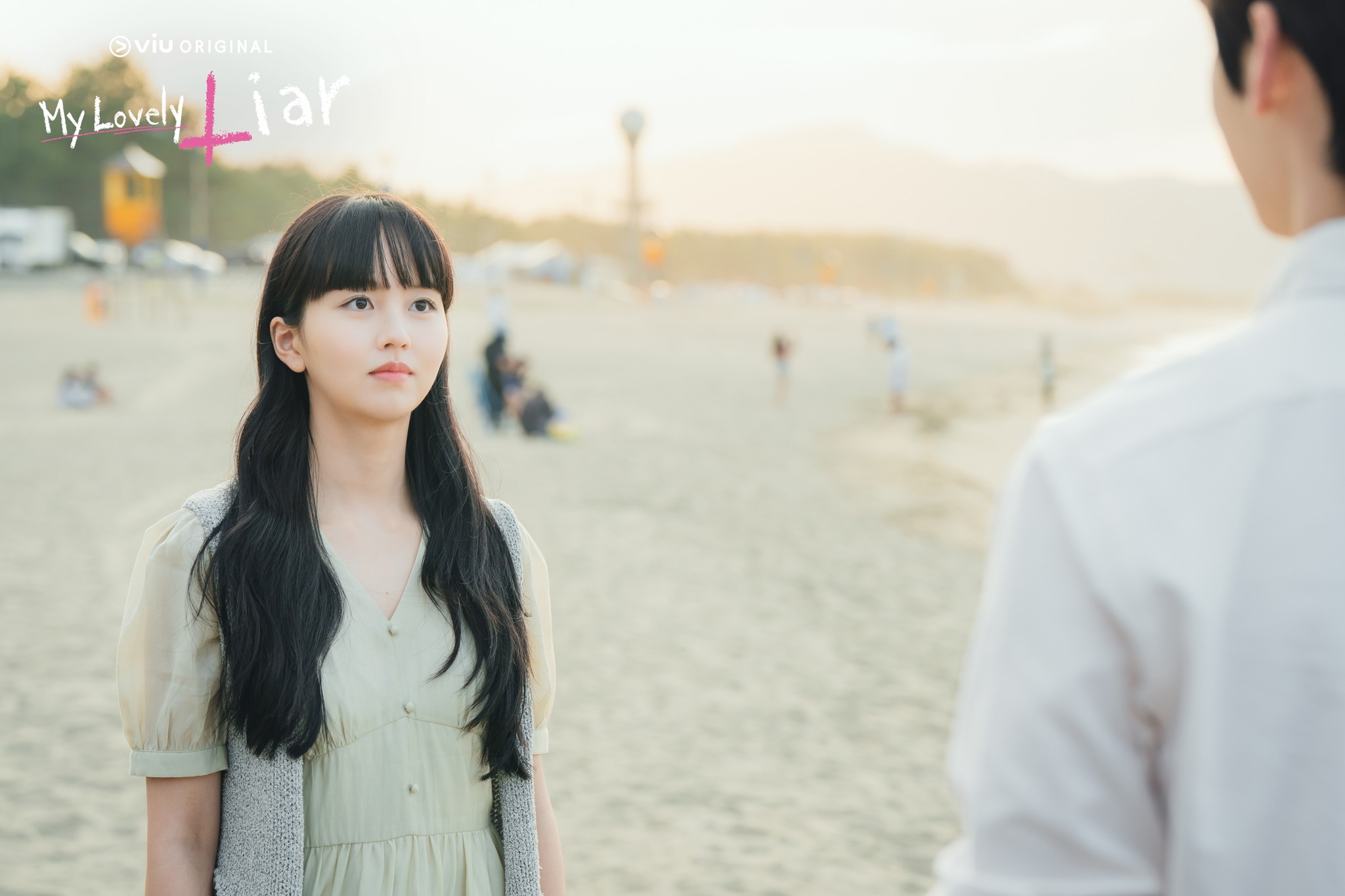 My Lovely Liar