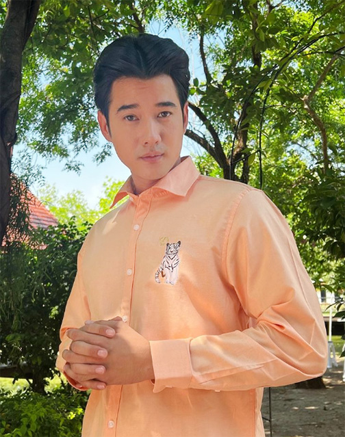มาริโอ้ เมาเร่อ