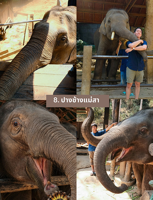 เที่ยวเชียงใหม่