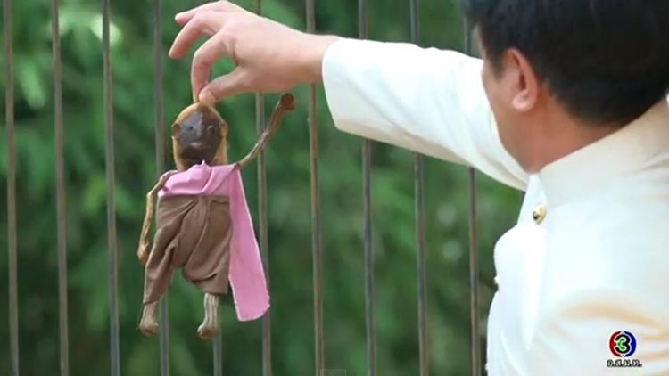 น้องรำพึง ละคร ทองเอก หมอยา ท่าโฉลง