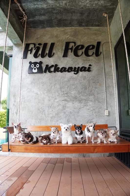 Fill Feel