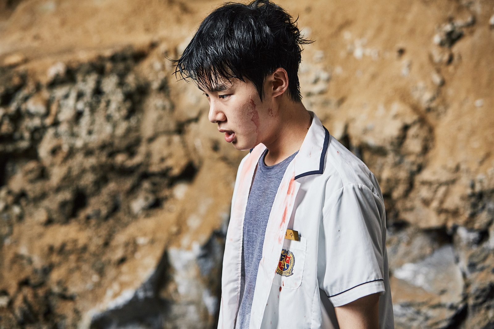 ซีรีส์เกาหลี