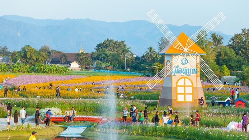เที่ยวเชียงใหม่