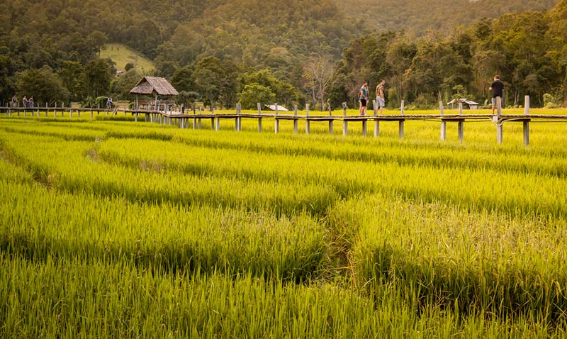 ที่เที่ยวเดือนมีนาคม