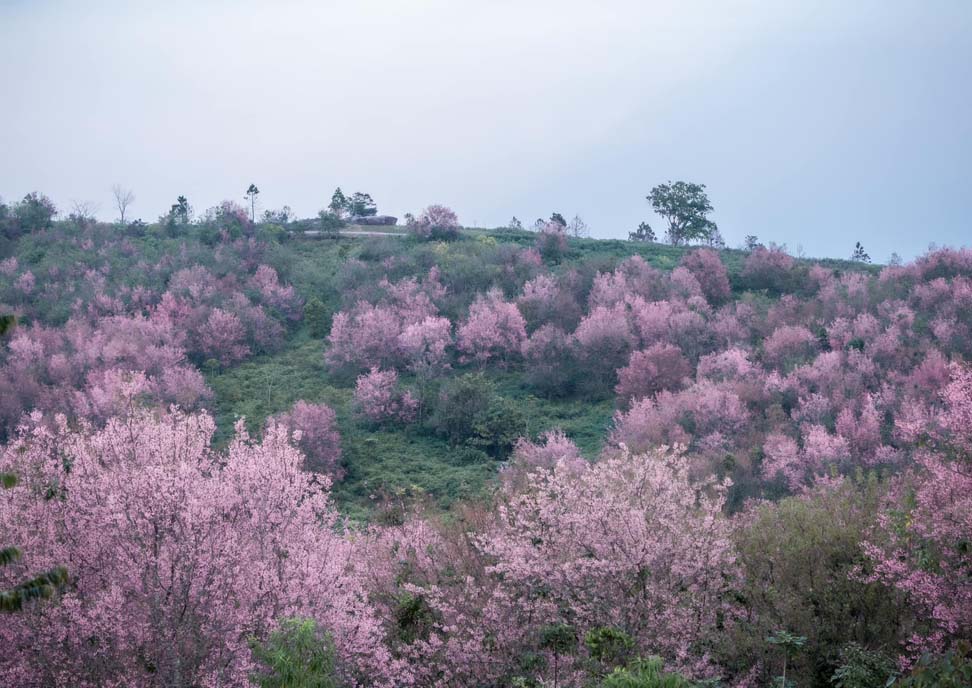 ภูลมโล