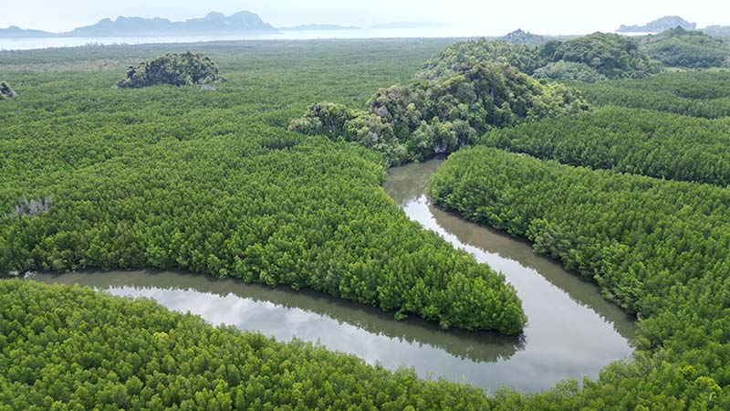 ล่องแพตรัง ชมเกาะรูปหัวใจ เขาจมป่า