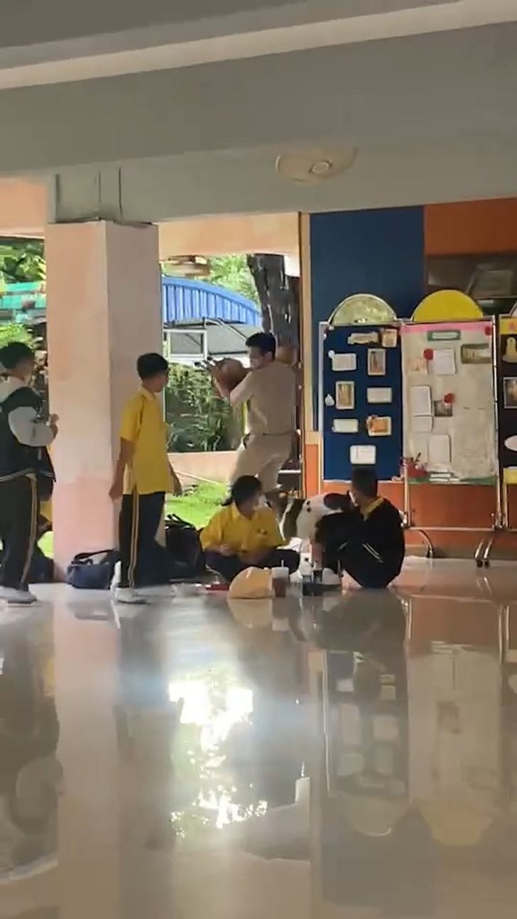 หมากัดกัน
