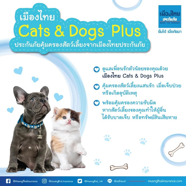 ภาพจาก : เฟซบุ๊ก เมืองไทยประกันภัย Muang Thai Insurance - MTI