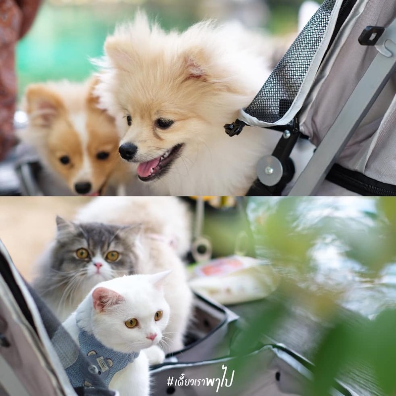 บ้านชุบชูใจ ที่พักอุทัยธานี
