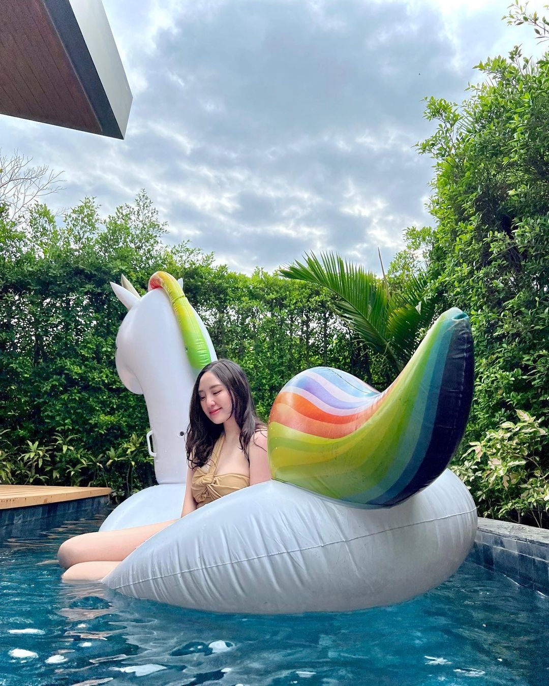 เยลลี่