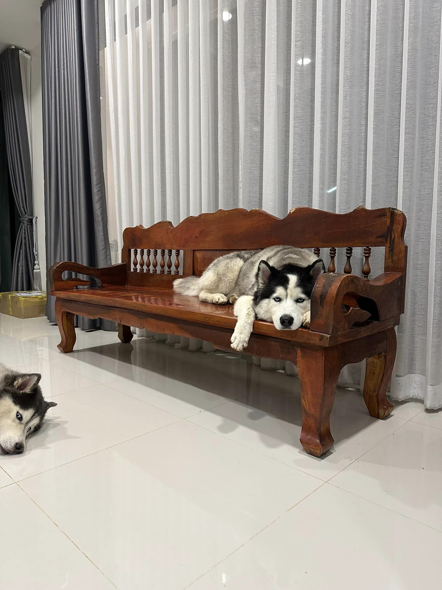 เก้าอี้ไม้