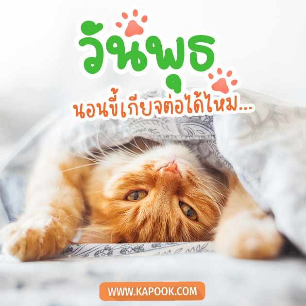 สวัสดีวันพุธ
