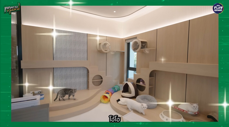 บ้าน เต๋า เศรษฐพงศ์ ห้องแมว
