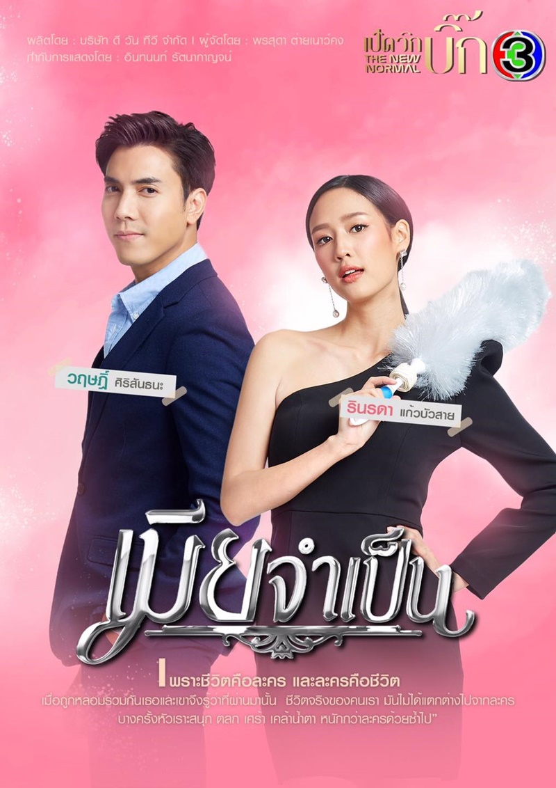 เมียจำเป็น
