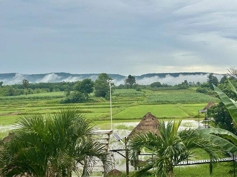 ที่พักวิวทุ่งนา 2568 โรงแรมโรสแมรี่ รีสอร์ท