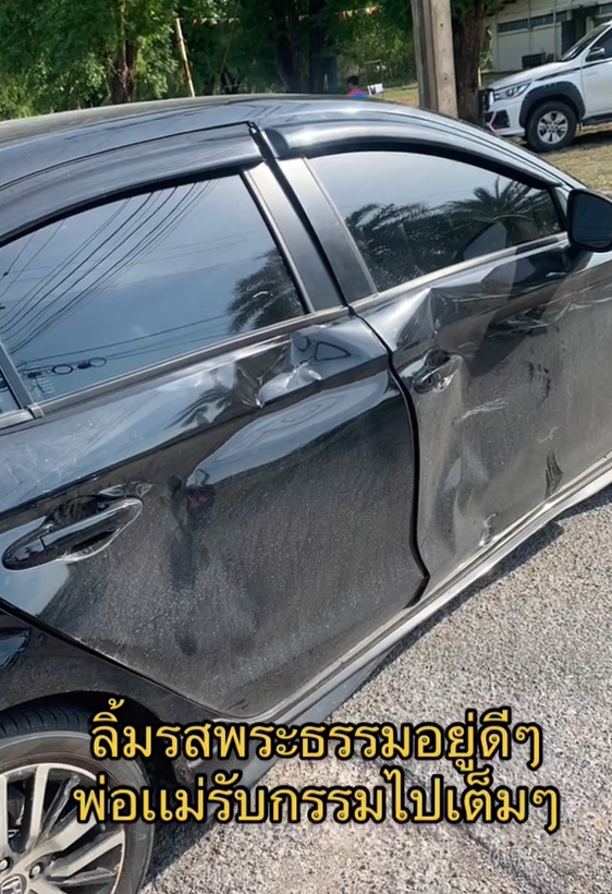 แมวซน