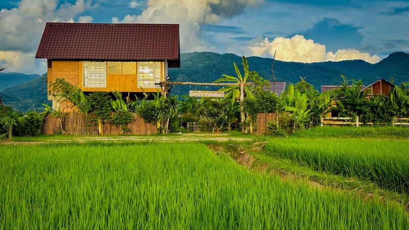 ที่พักวิวทุ่งนา 2568 ดีต่อใจ ฟาร์มสเตย์