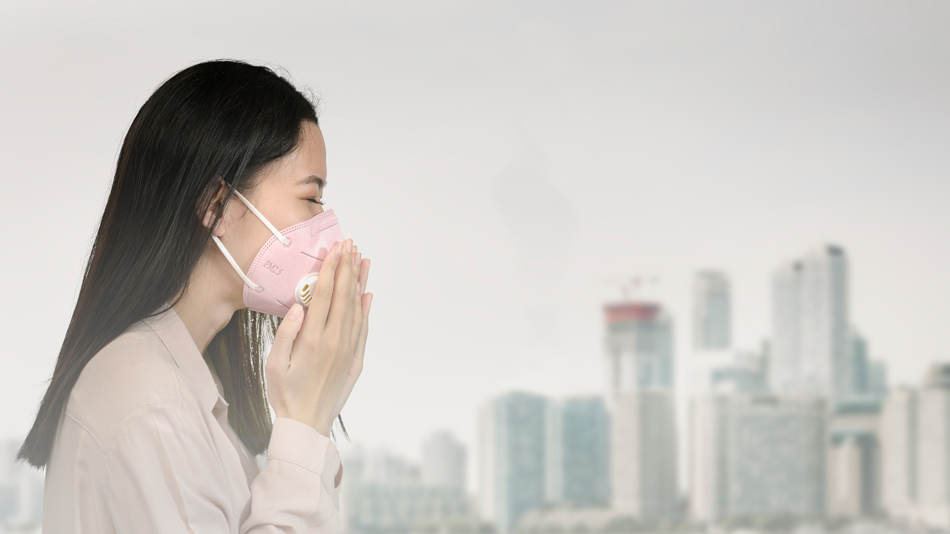 แอพเช็คค่าฝุ่น pm 2.5