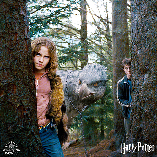 Harry Potter