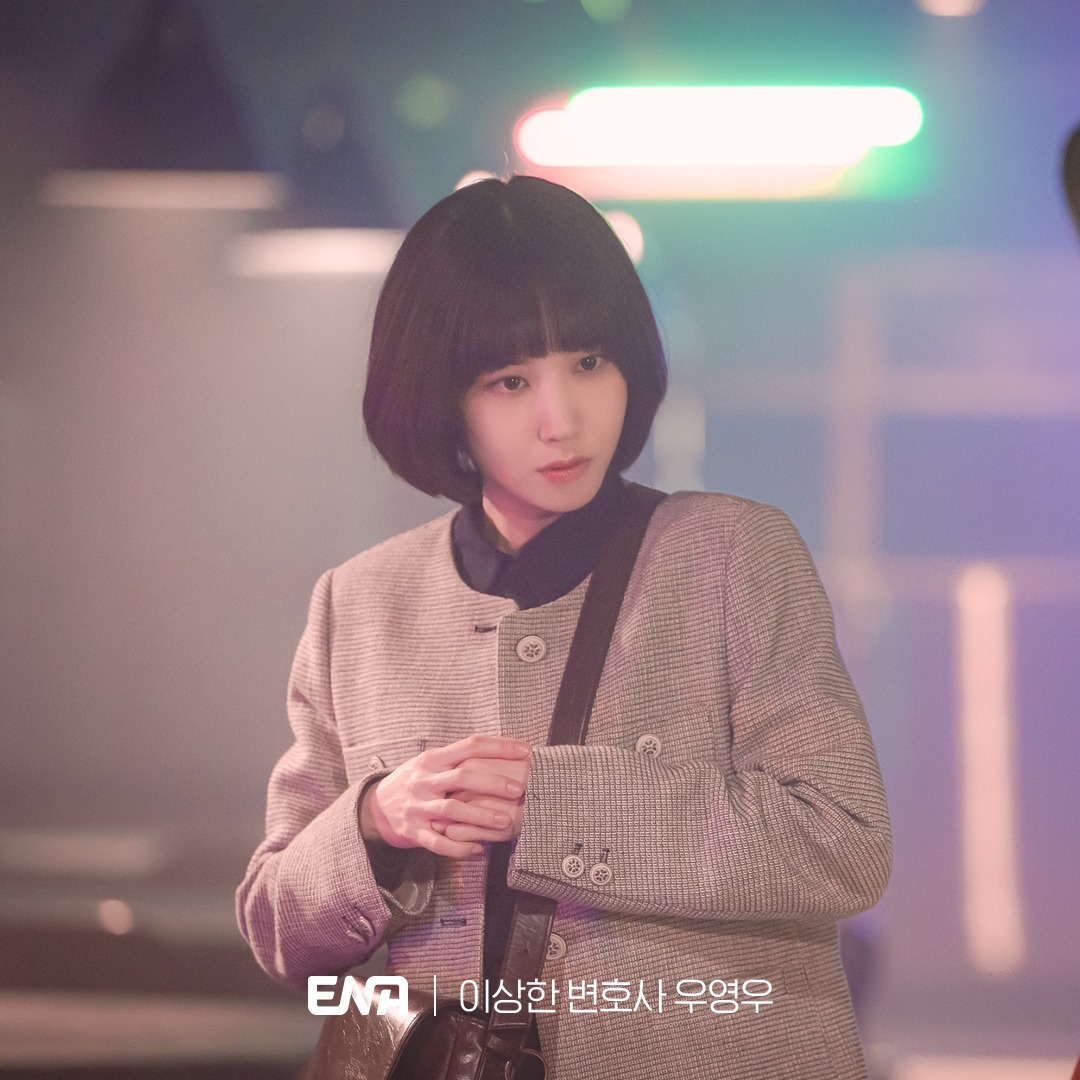 extraordinary attorney woo