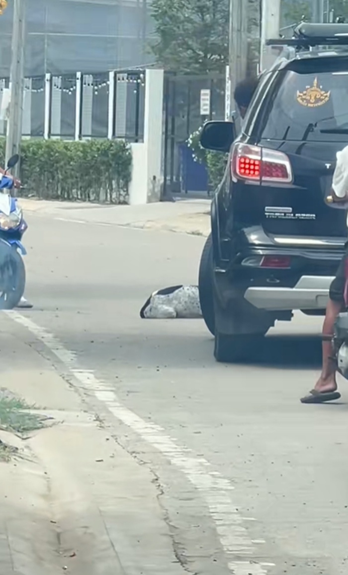 รถติด