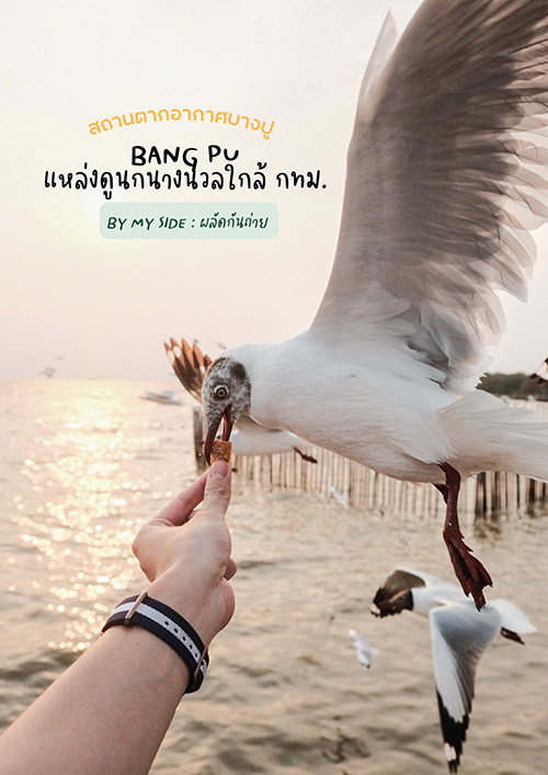 สถานตากอากาศบางปู