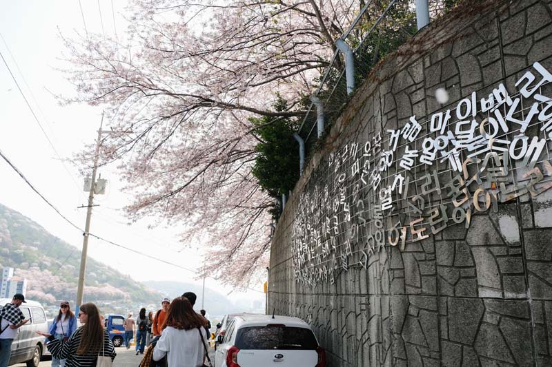 Gamcheon Culture Village