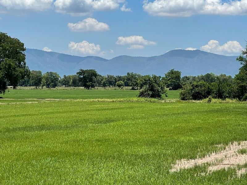 บ้านใหม่ สุนารี ราชสีมา