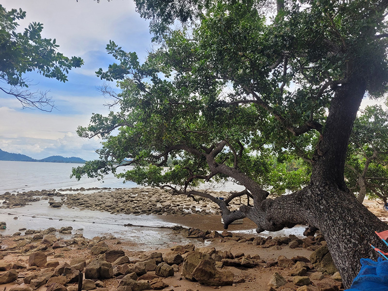 หาดลับหัวหิน อ่าวมะม่วง ชุมพร