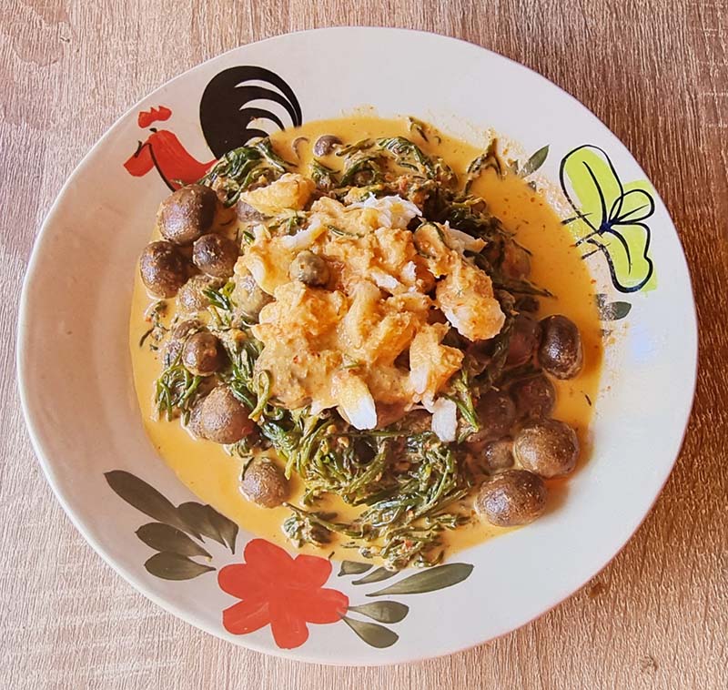 แกงเผ็ดเห็ดเผาะใบชะคราม