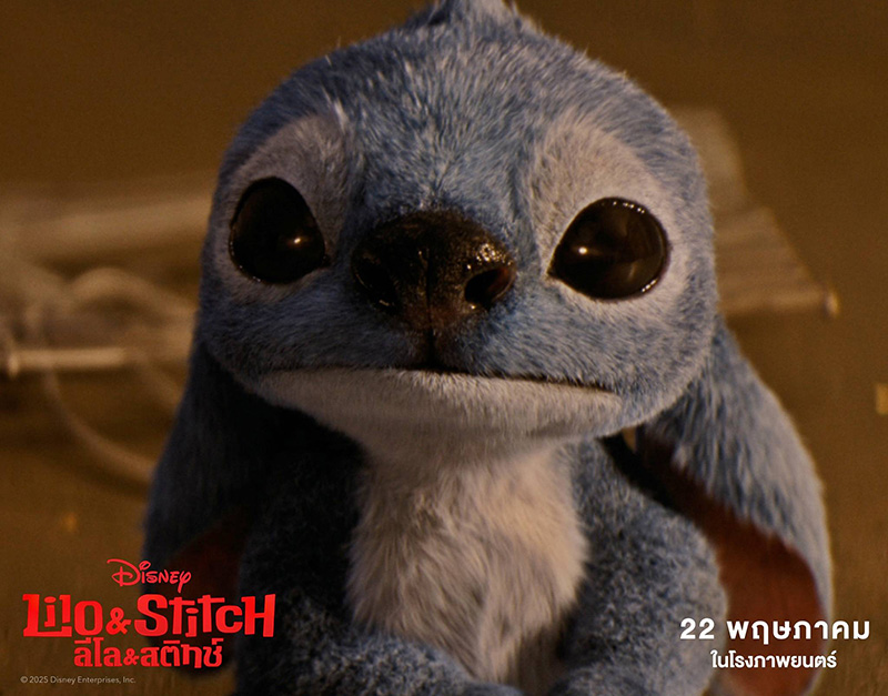 เรื่องน่ารู้ ilo & Stitch ฉบับ Live Action