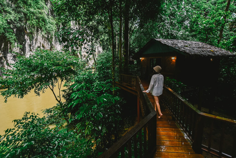 Our Jungle House