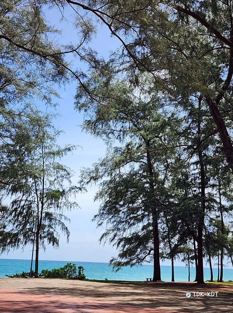 หาดท้ายเหมือง
