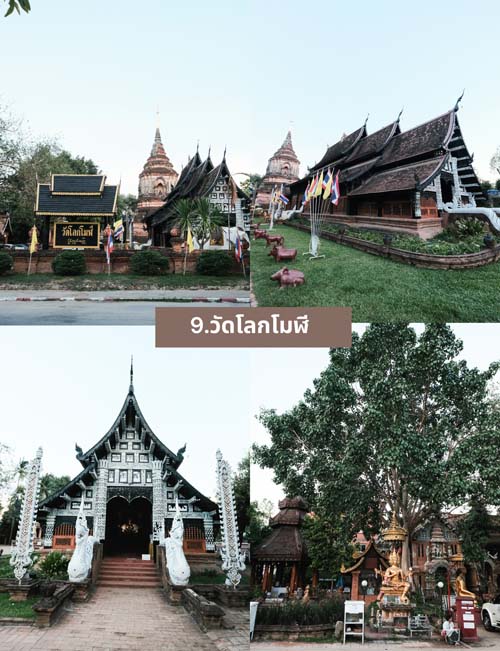เที่ยวเชียงใหม่