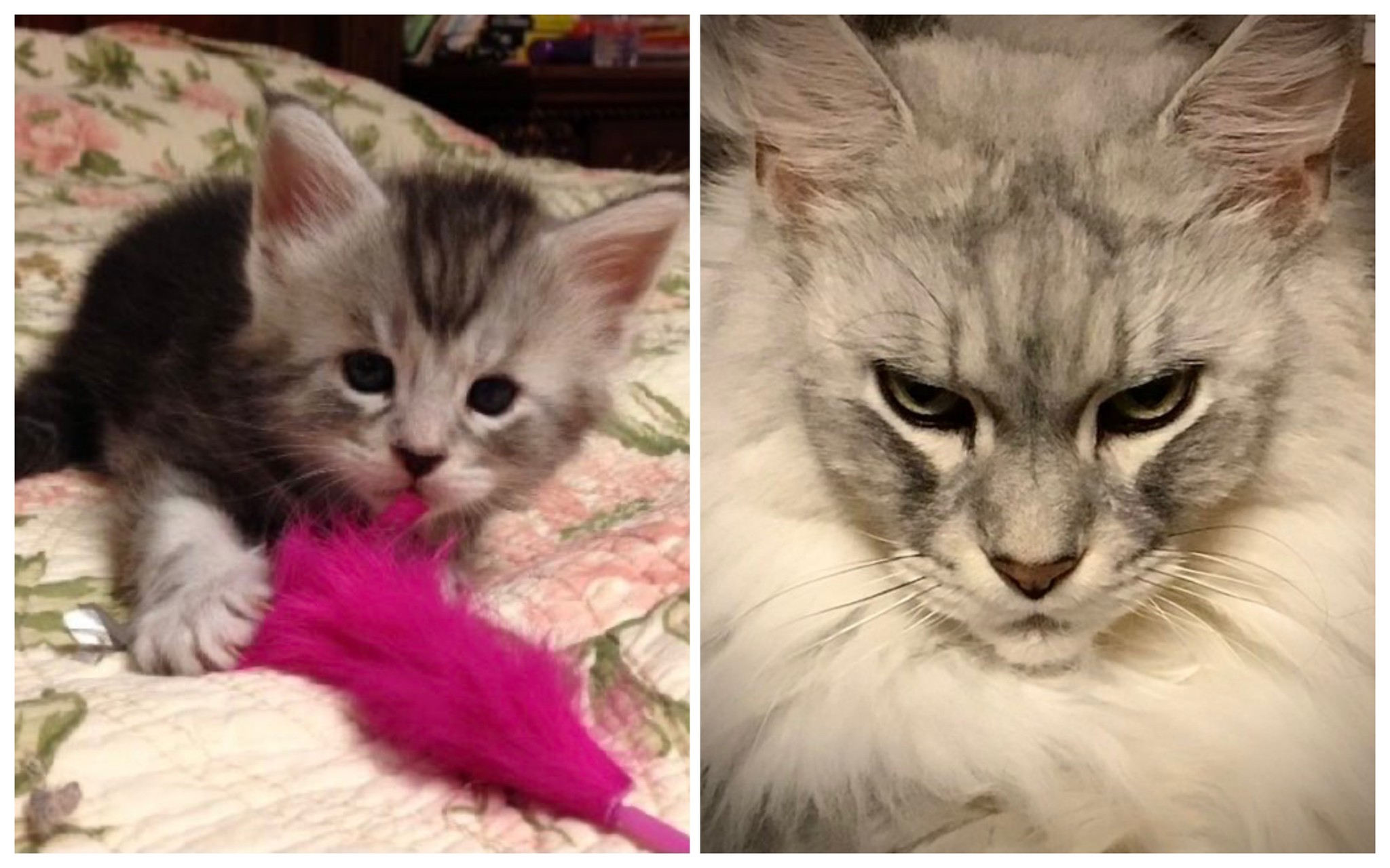 before after