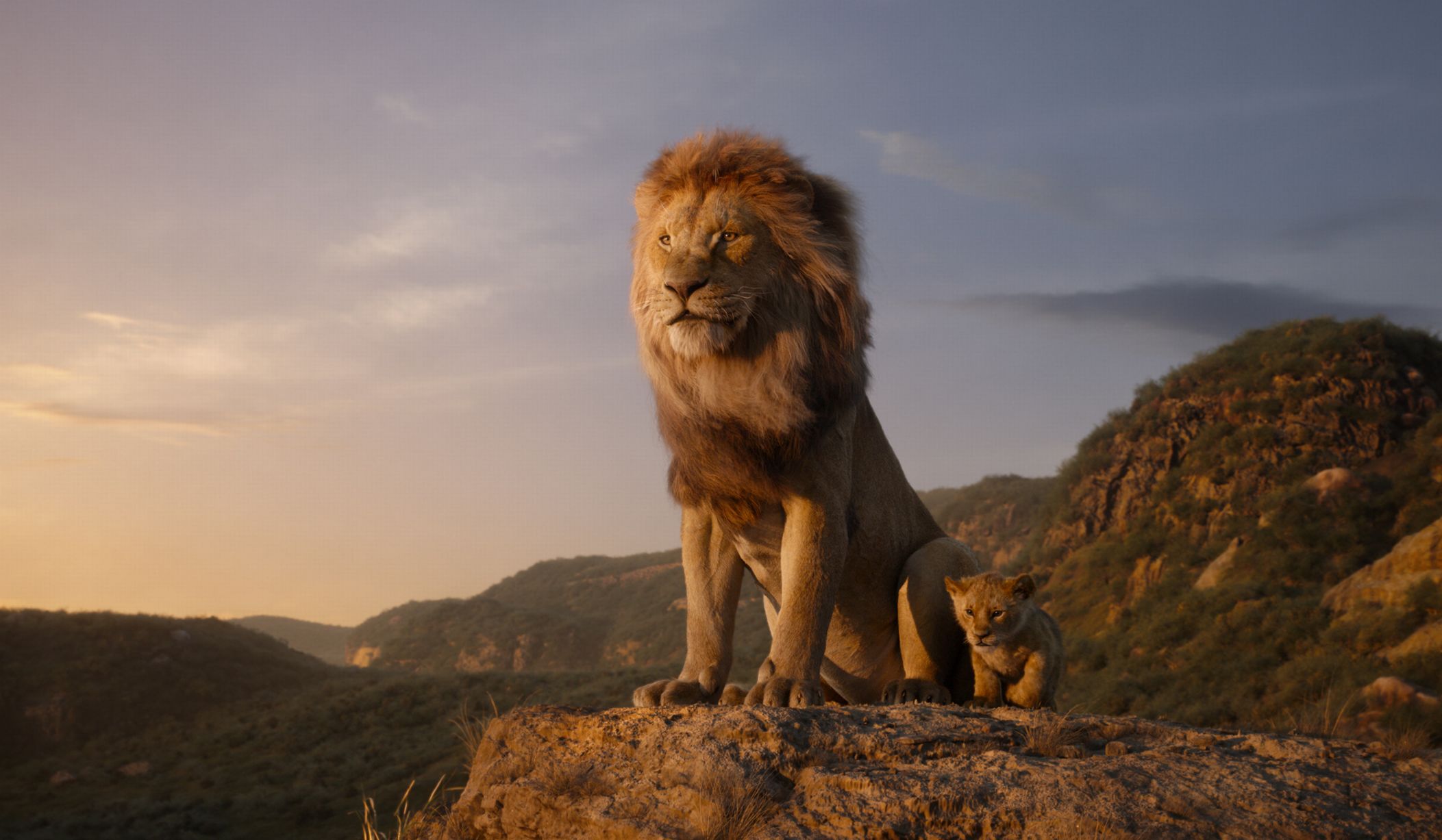 the lion king 2019