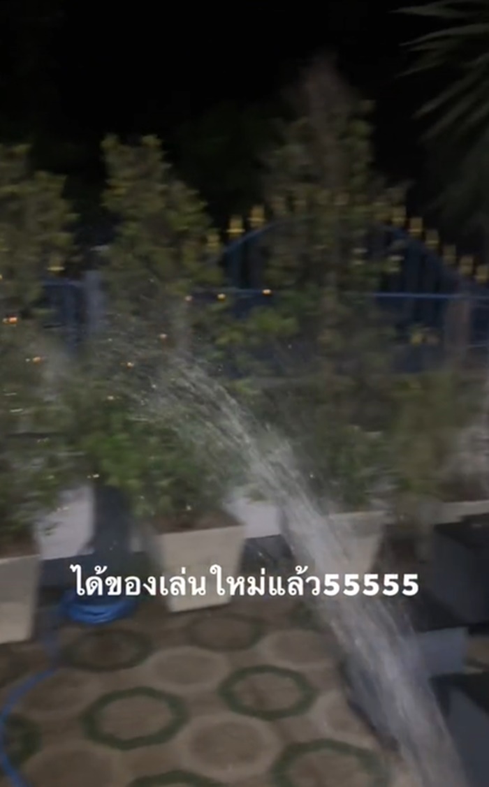 รดน้ำต้นไม้