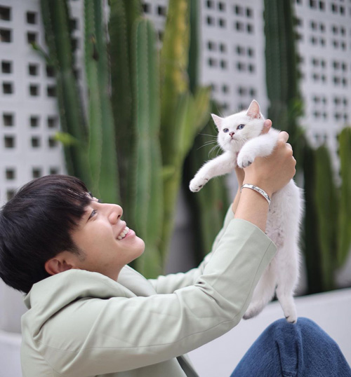 มิกซ์ สหภาพ