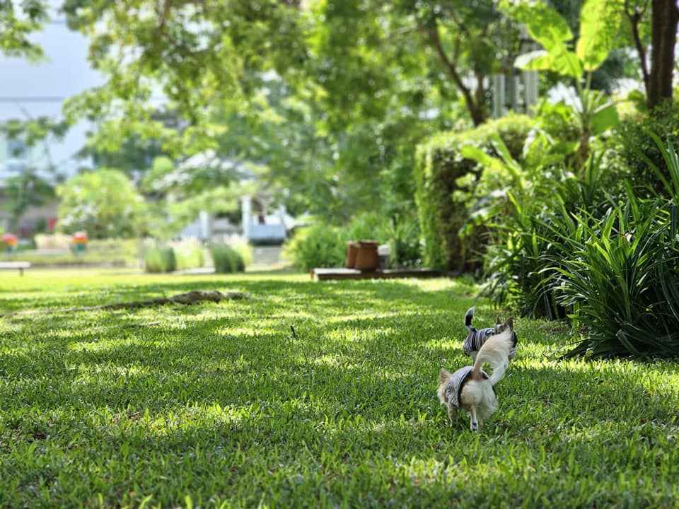 InterContinental Hua Hin